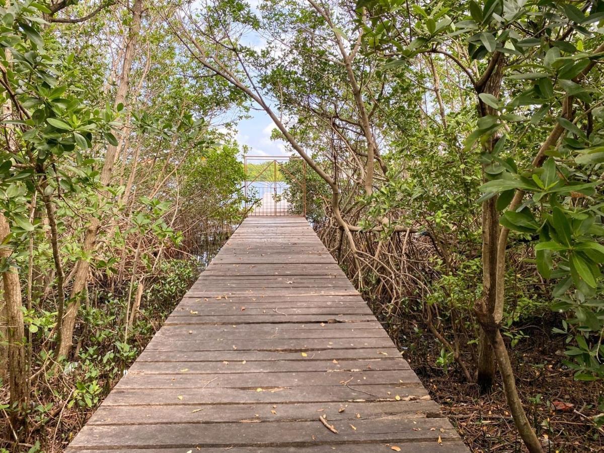 Villa Angela Isla Mujeres Kültér fotó