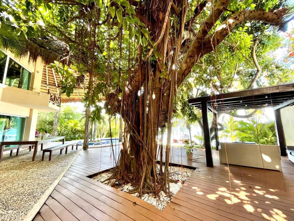 Villa Angela Isla Mujeres Kültér fotó