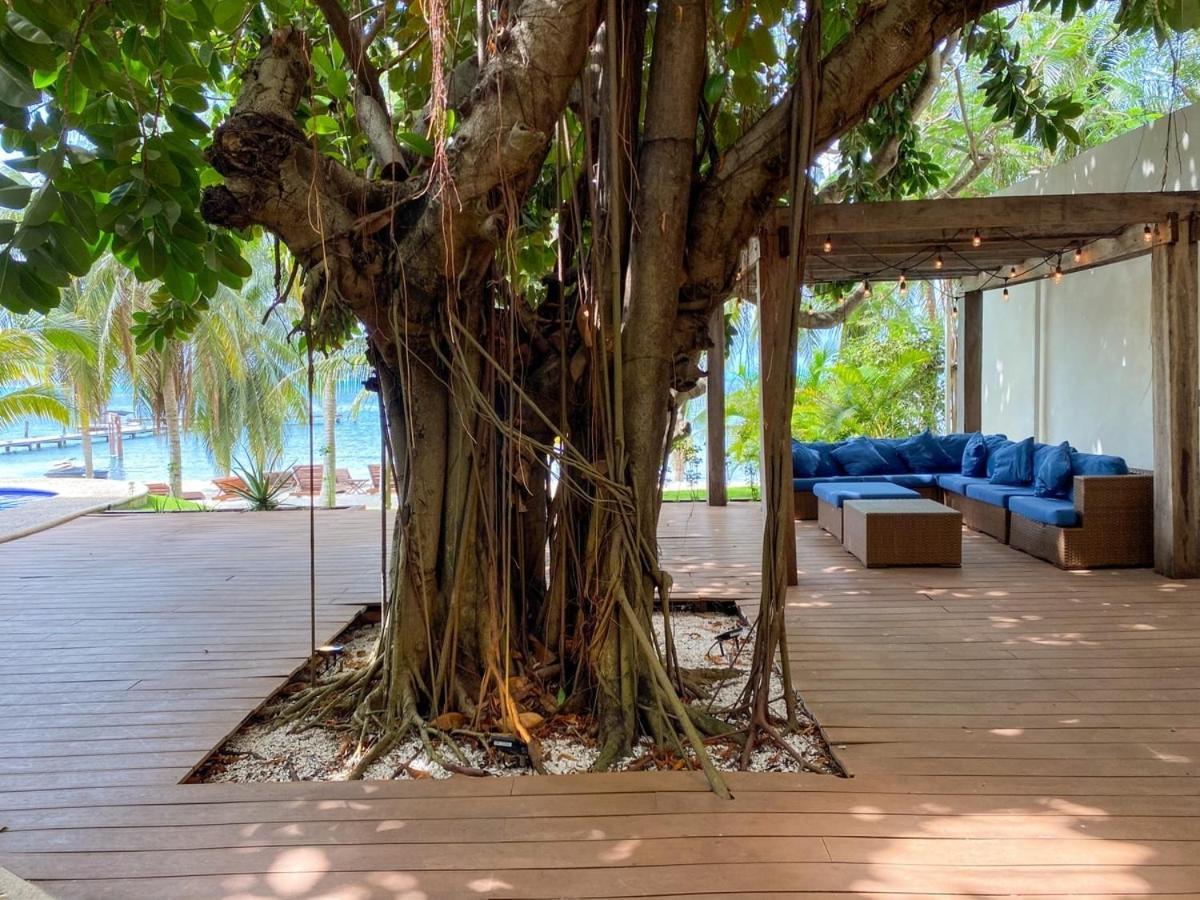 Villa Angela Isla Mujeres Kültér fotó